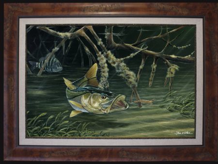 Fine Art - Blindsided Snook Online Sale