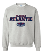 Youth Crew Neck Sweatshirt with printed FAU (Logo 3) Online Hot Sale