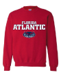 Youth Crew Neck Sweatshirt with printed FAU (Logo 3) Online Hot Sale