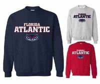 Youth Crew Neck Sweatshirt with printed FAU (Logo 3) Online Hot Sale