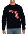 Youth Crew Neck Sweatshirt with printed FAU (Logo 6) Online