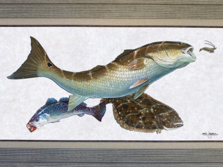 Acrylic Illustration - Coastal Inshore Slam on Sale