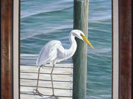 Fine Art - American Egret on Dock on Sale