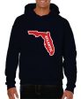 Youth Hoodie  Sweatshirt FAU (Logo 6) Online