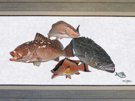 Acrylic Illustration - Bottomfish Slam Hot on Sale