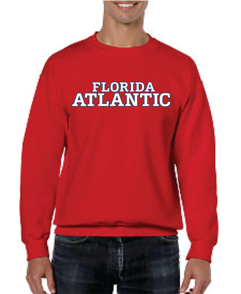 Crew Neck Sweatshirt with printed FAU (Logo 5 New) Fashion