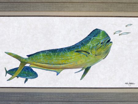 Acrylic Illustration - Bull Dolphin Fish Online