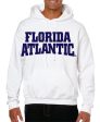 Youth Hoodie  Sweatshirt FAU (Logo 5) For Sale