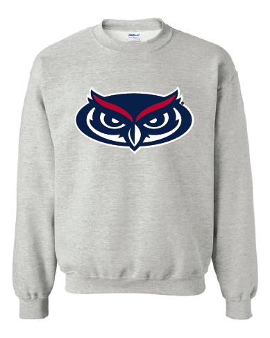 Youth Crew Neck Sweatshirt with printed FAU Owlhead (Logo 7) Cheap