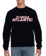 Crew Neck Sweatshirt with printed FAU (Logo 5 New) Fashion