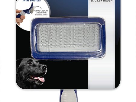 Four Paws Magic Coat Professional Series Slicker Brush for Dogs Slicker Brush 1ea Medium Large Sale