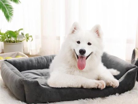 38  Cushioned Pet Bed Hot on Sale