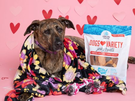 7th Annual Send a Valentine & Love To a Shelter Fur Baby Hot on Sale