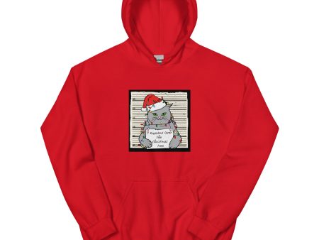 Christmas Shenanigans Cat Hoodie Cheap